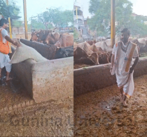 Gunina Universal - 2025-09-25T142609.907