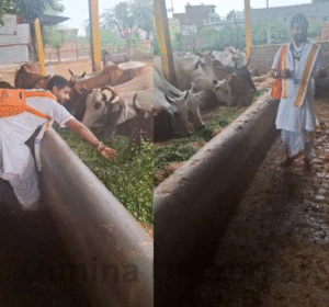 Gunina Universal - 2025-09-25T142923.787